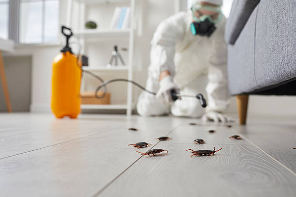 Trusted Fumigation Services service in Fairwood, WA - Nex Pest Control
