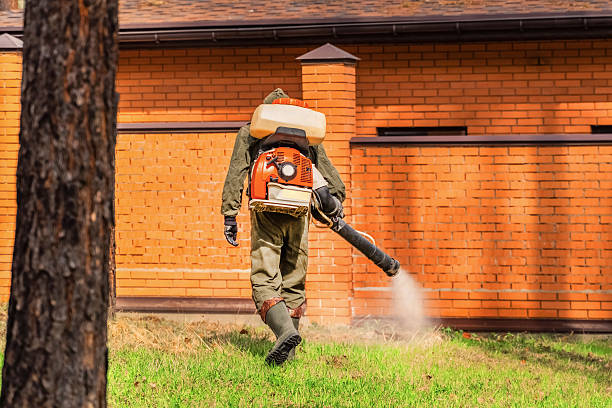 Trusted Mosquito Control service in Fairwood, WA - Nex Pest Control